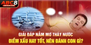 Giải Đáp Nằm Mơ Thấy Nước Điềm Xấu Hay Tốt, Nên Đánh Con Gì?