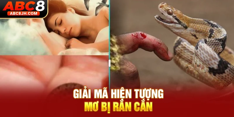 Giải mã hiện tượng mơ bị rắn cắn