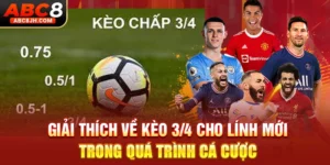 Giải Thích Về Kèo 3/4 Cho Lính Mới Trong Quá Trình Cá Cược