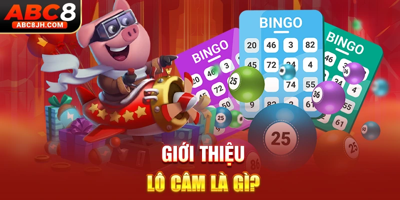 Giới thiệu lô câm là gì?