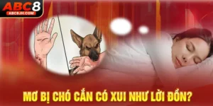 Mơ Bị Chó Cắn Có Xui Như Lời Đồn?