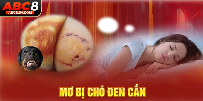 Mơ bị chó đen cắn