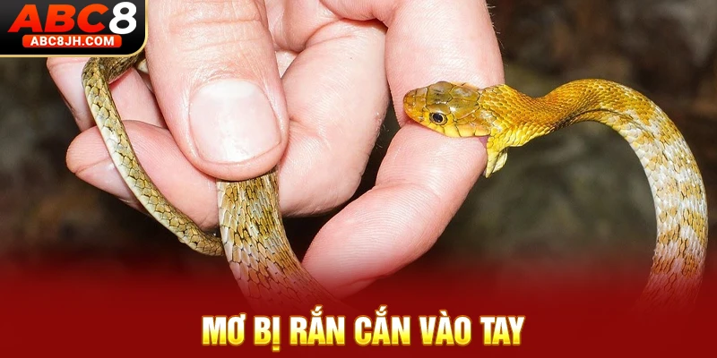 Mơ bị rắn cắn vào tay