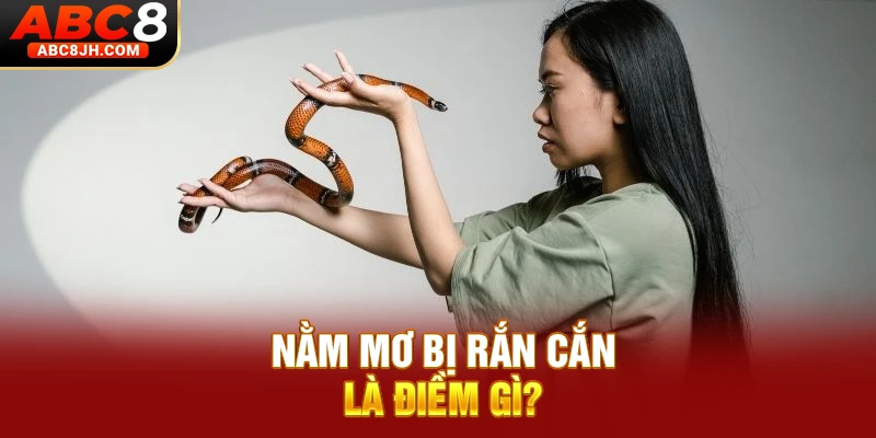 Nằm mơ bị rắn cắn là điềm gì?